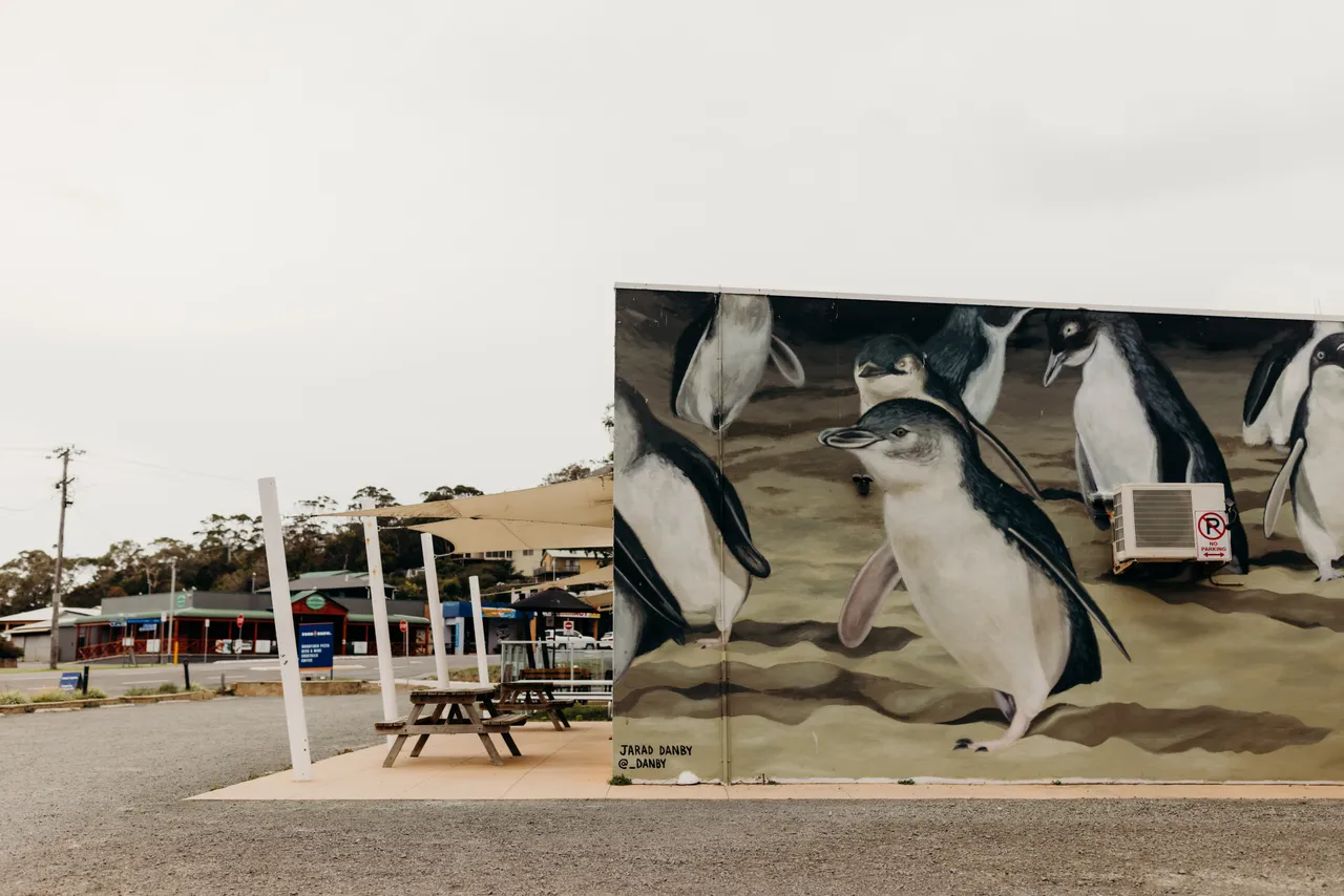 Penguin Mural Bicheno