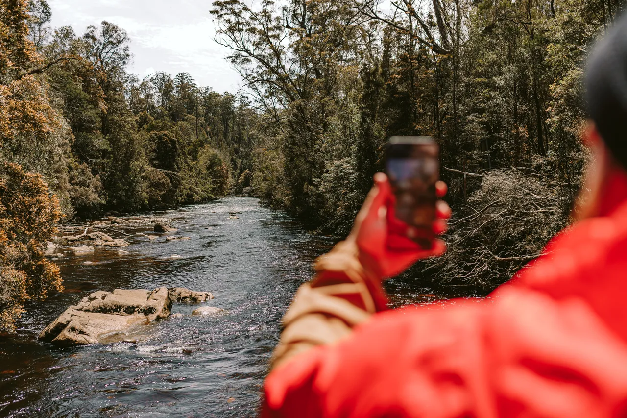 Taking Photos of Franklin River