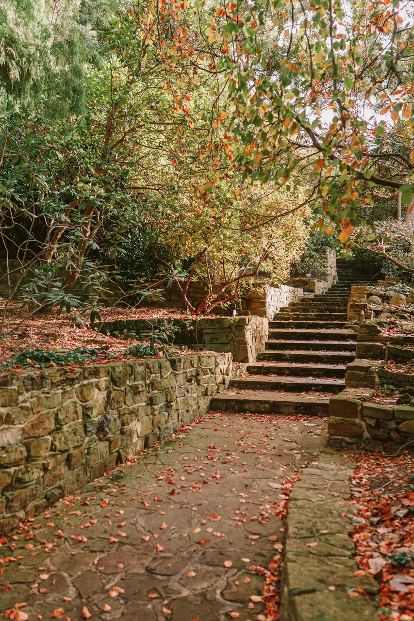 Footpath at the Royal Tasmanian Botanical Gardens