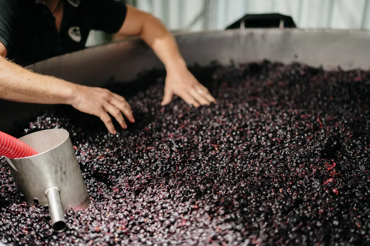 Winemaking at Utzinger