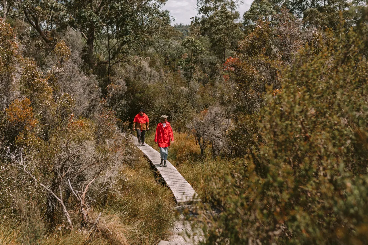Frenchmans Cap Track