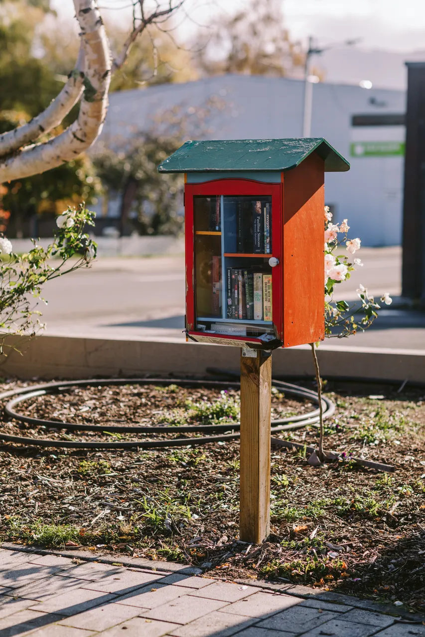 Community Library Box