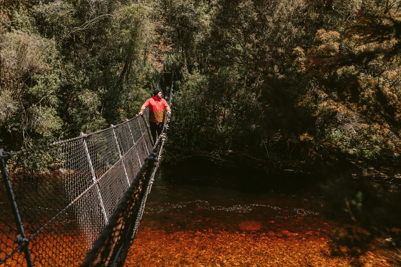 Frenchmans Cap Suspension Bridge