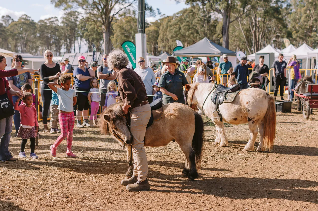 Pony Rides at Agfest