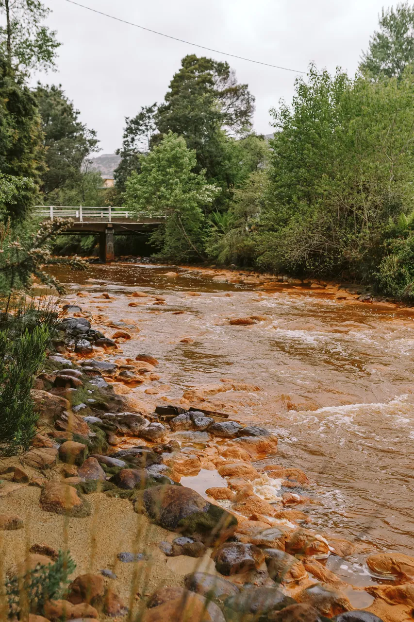 Queen River Queenstown