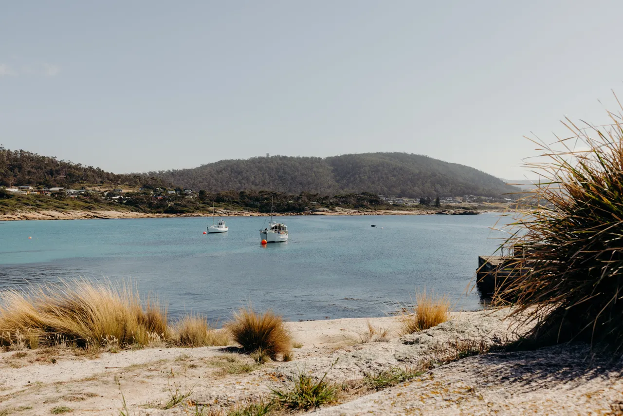 Waubs Cove Bicheno