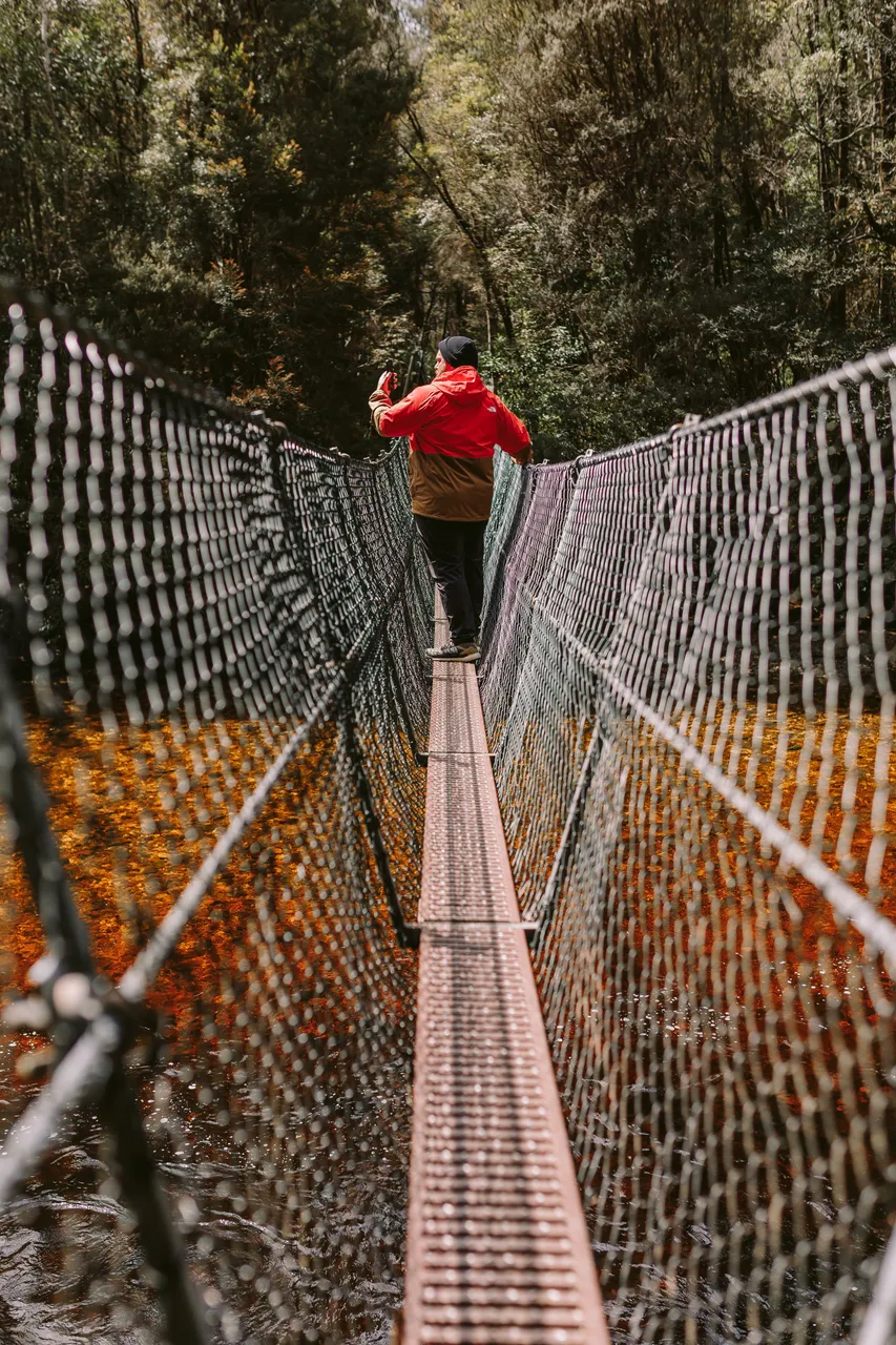 Taking Photos on Frenchmans Cap Suspension Bridge