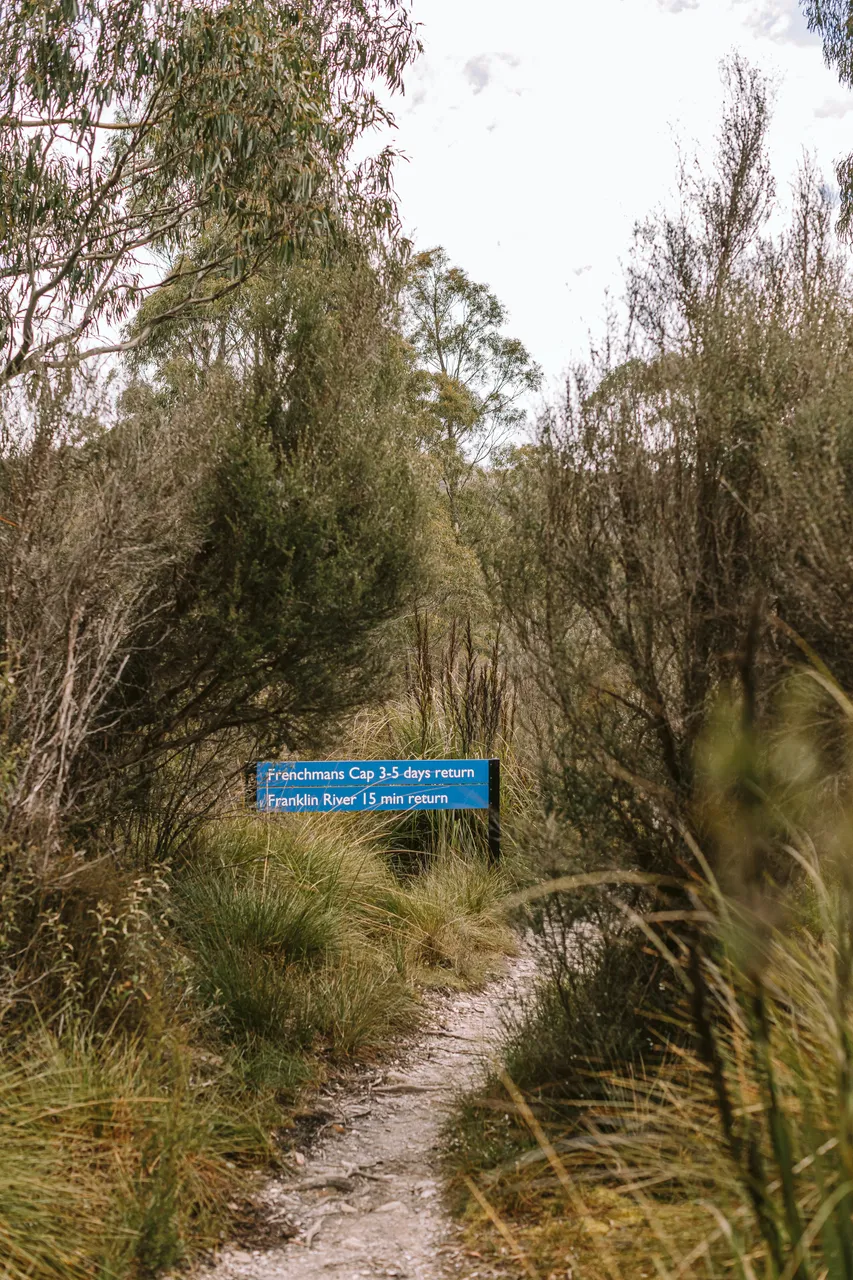 Frenchmans Cap Walking Trail Signage
