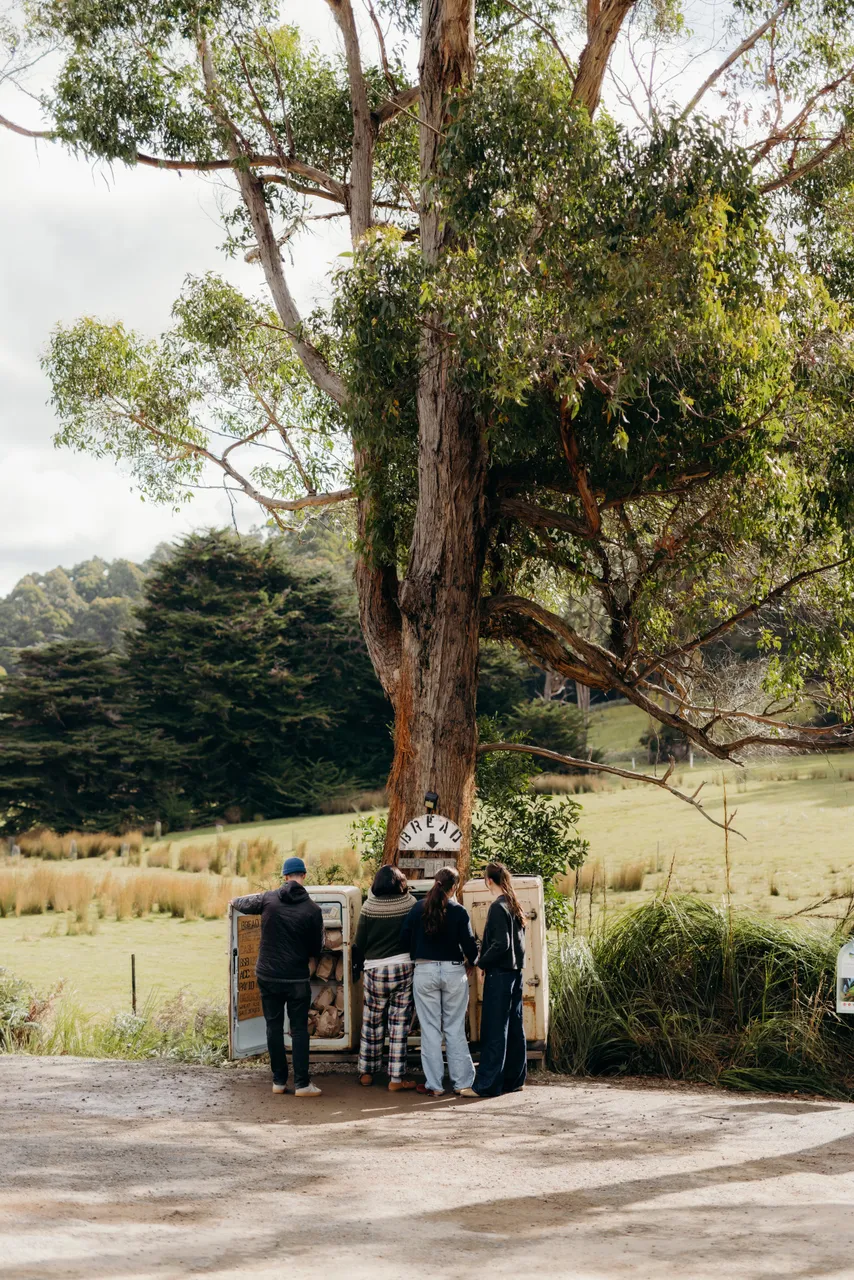 Bread Fridge Bruny Island