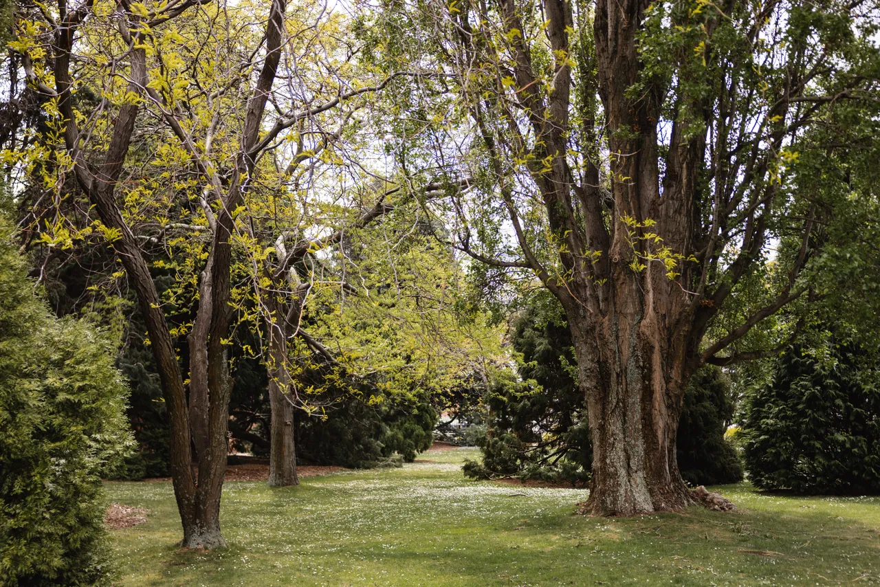 Royal Tasmanian Botanical Gardens
