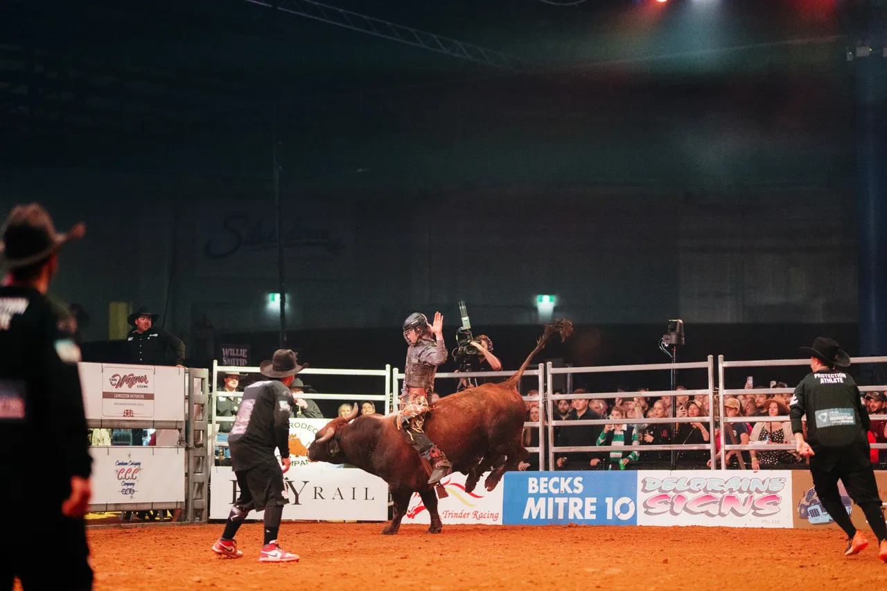 Bull Riding at the Island Stampede Rodeo
