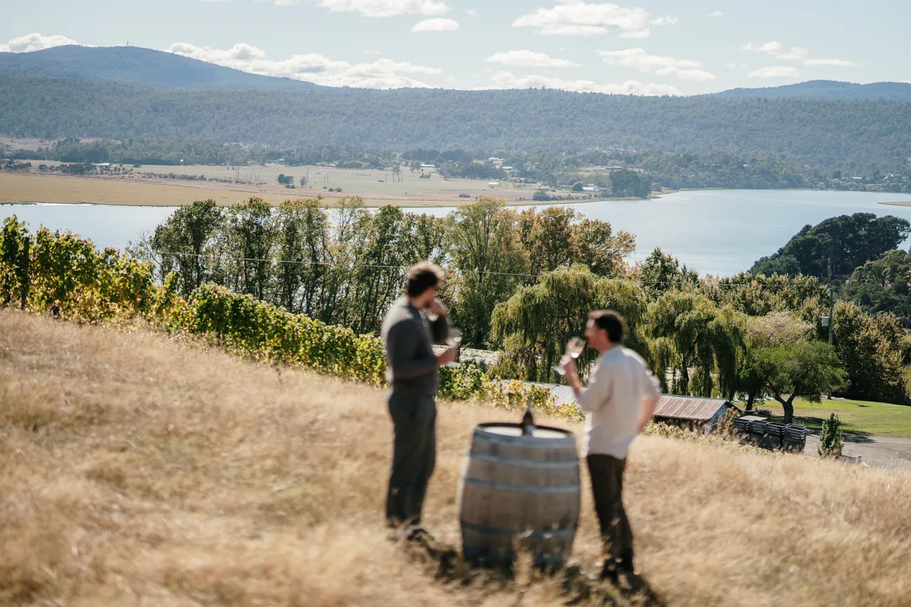Wine Tasting at Evenfall Winery