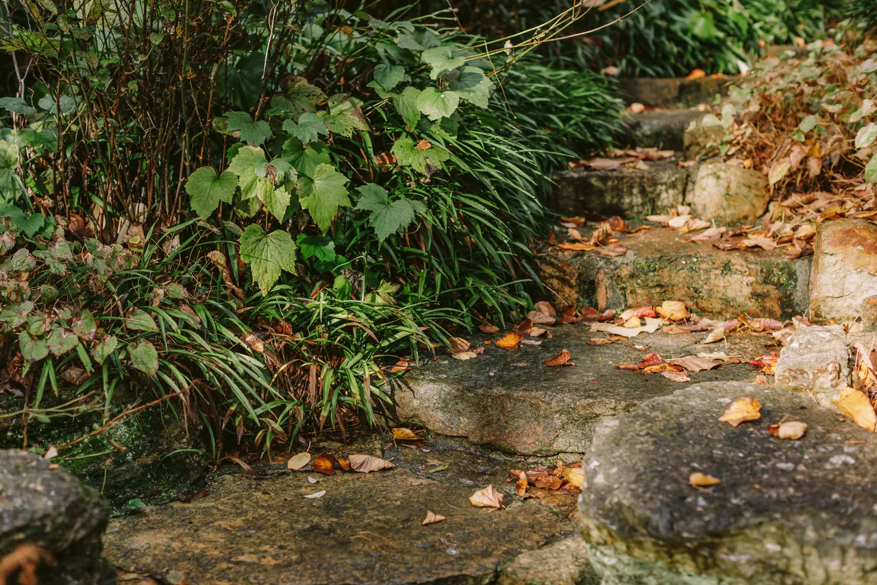 Stone Steps at the Royal Tasmanian Botanical Gardens