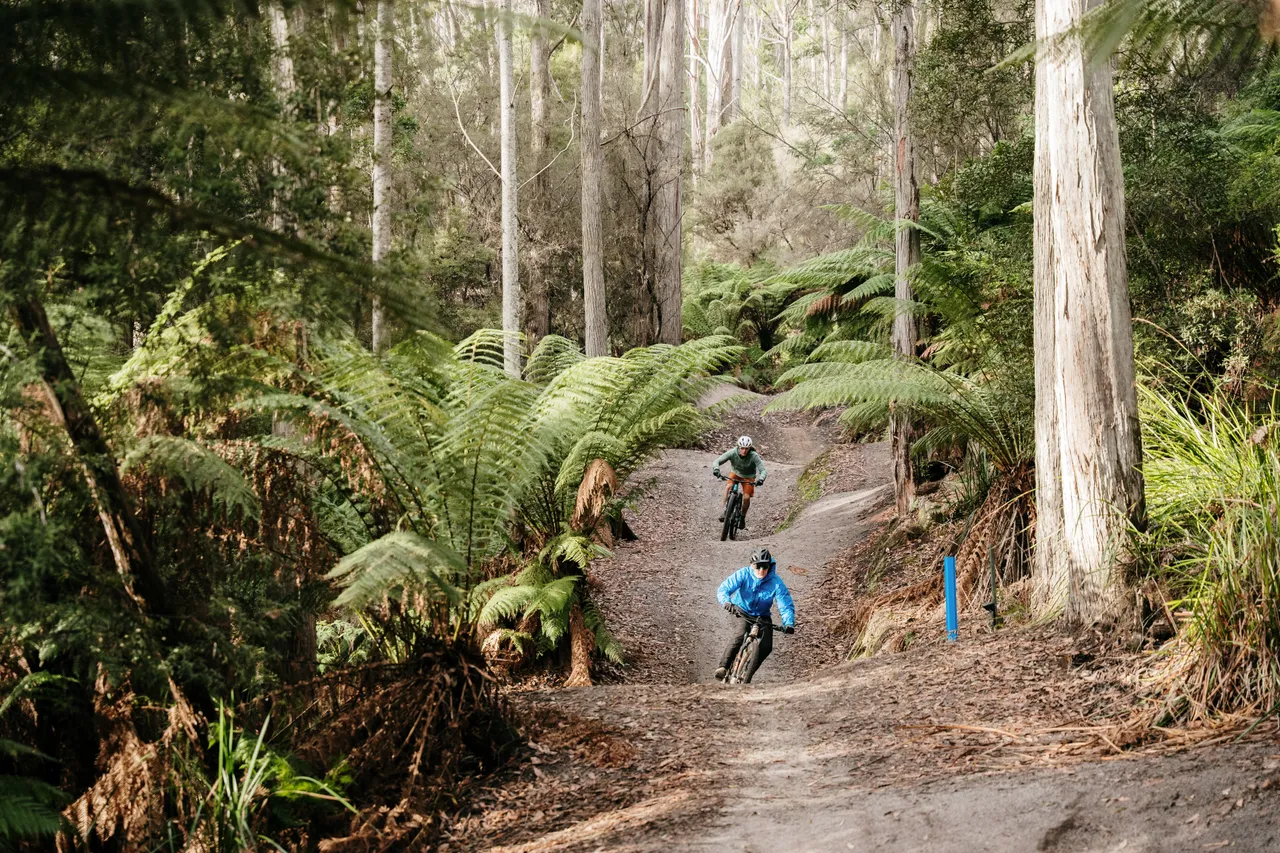 Mountain Biking in Derby