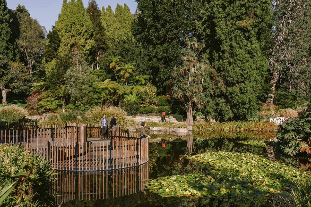 Pond at the Royal Tasmanian Botanical Gardens