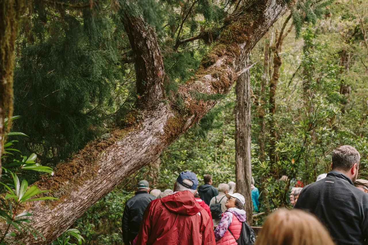 Heritage Landing Guided Tour