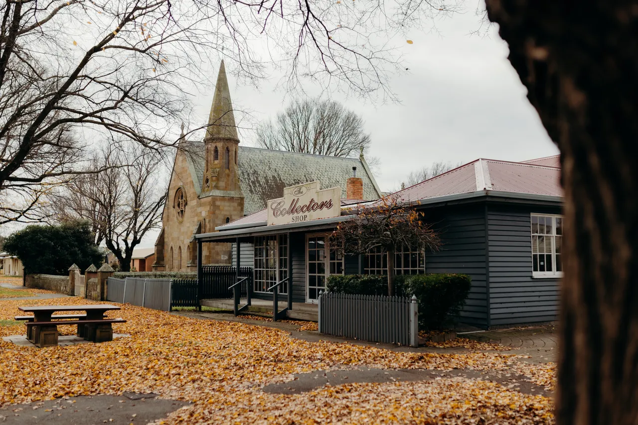 The Collectors Shop