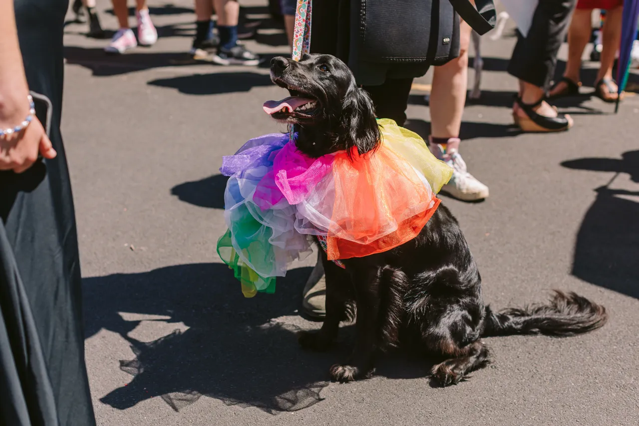 Tas Pride Parade