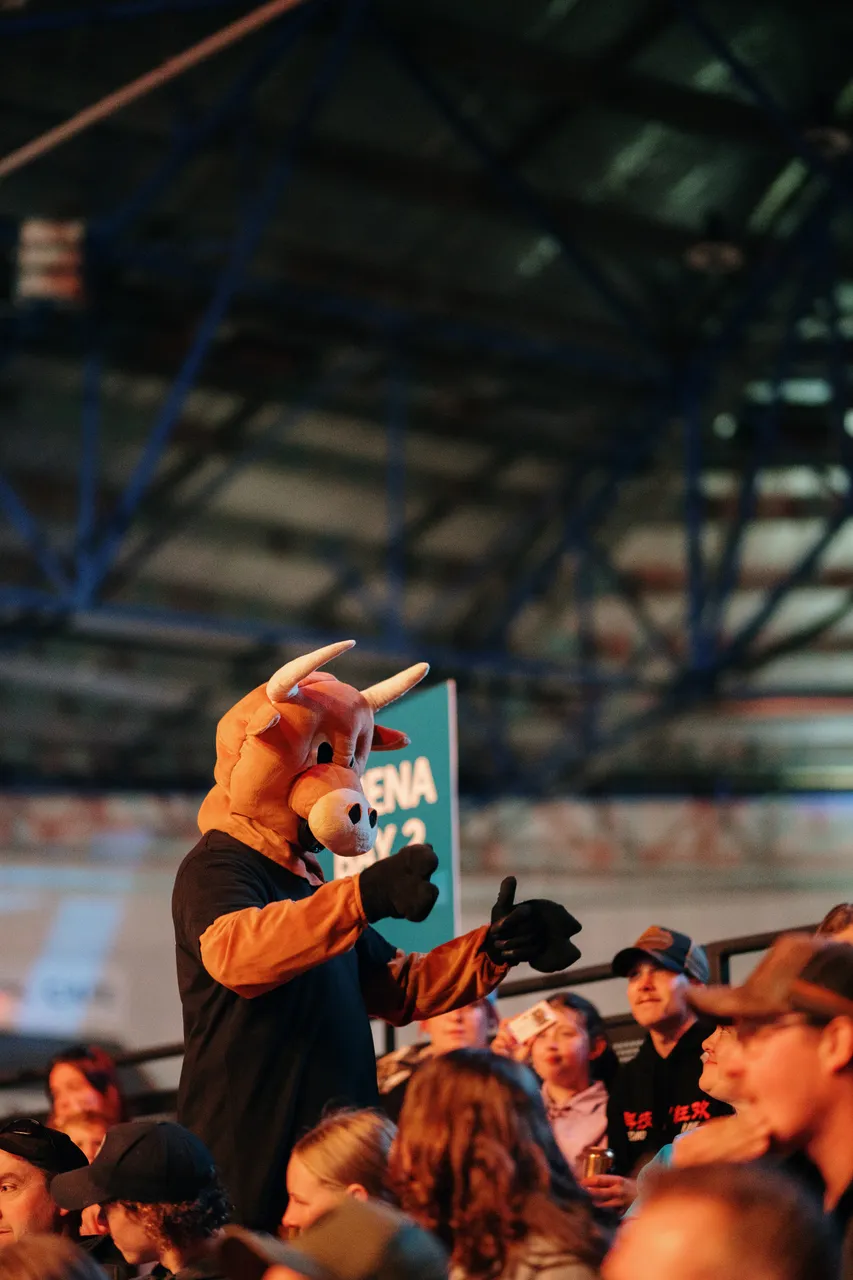Bull Mascot at the Island Stampede Rodeo