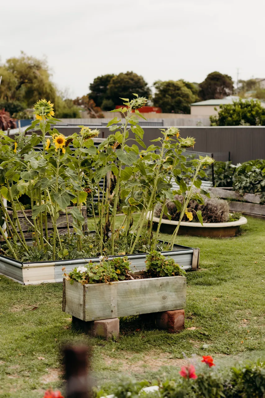 Community Garden Bicheno