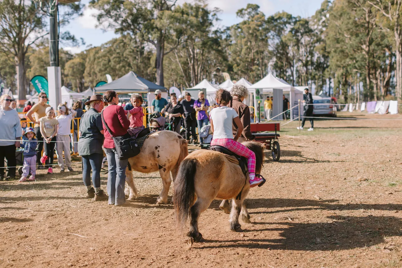 Pony Rides at Agfest