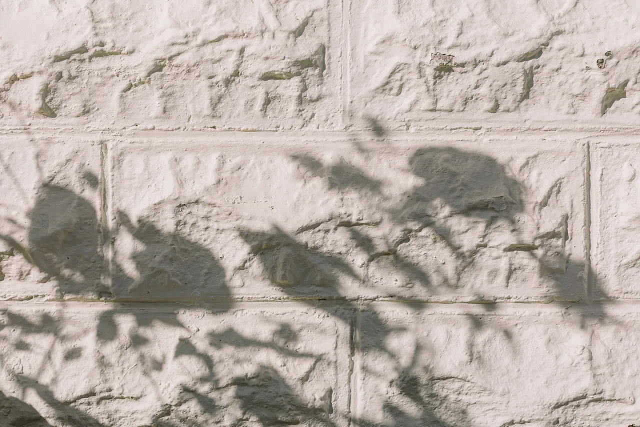 Leaf Shadows on Brick Wall