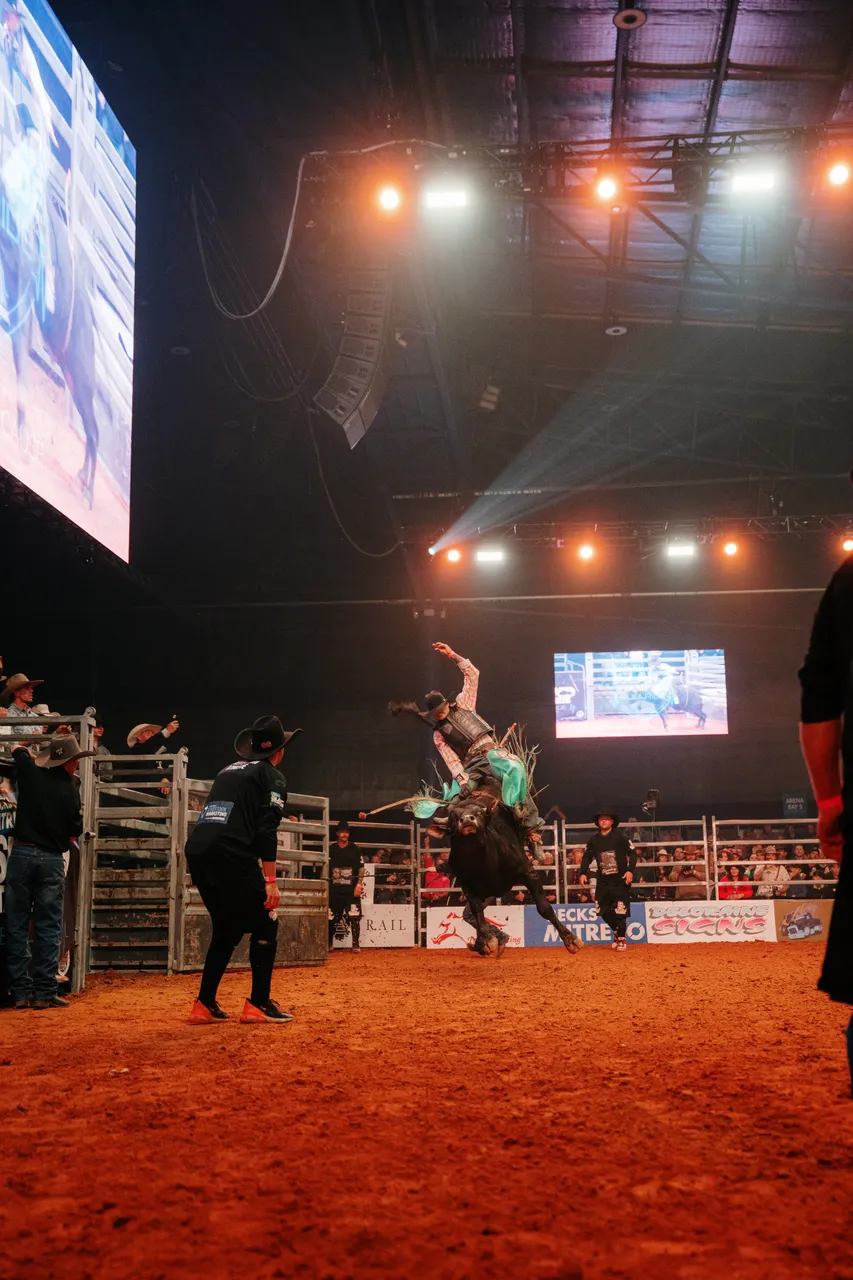 Bull Riding at the Island Stampede Rodeo