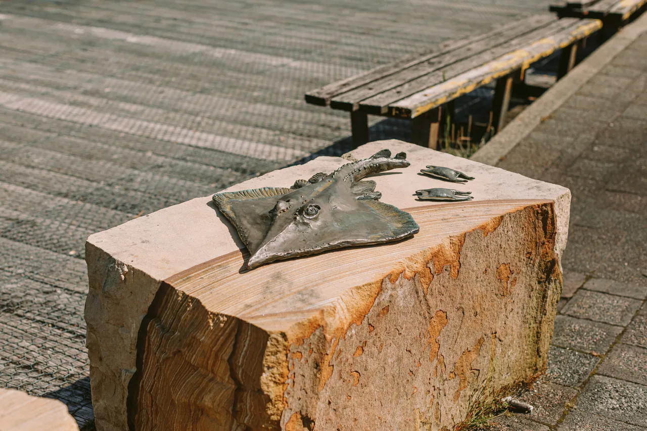 Skate Sculpture in Strahan