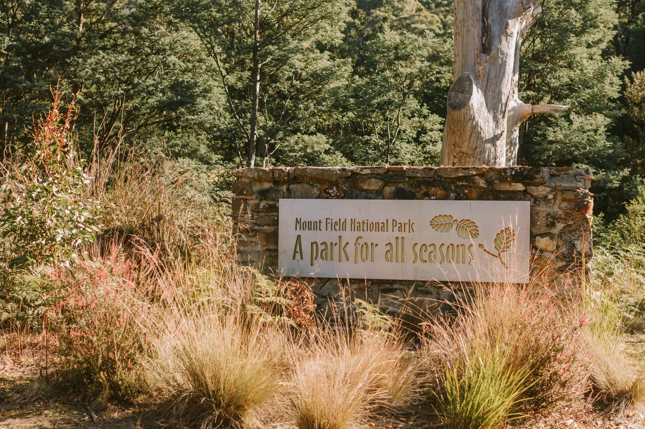 Mount Field Entrance