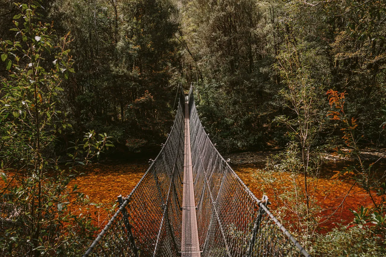 Frenchmans Cap Suspension Bridge