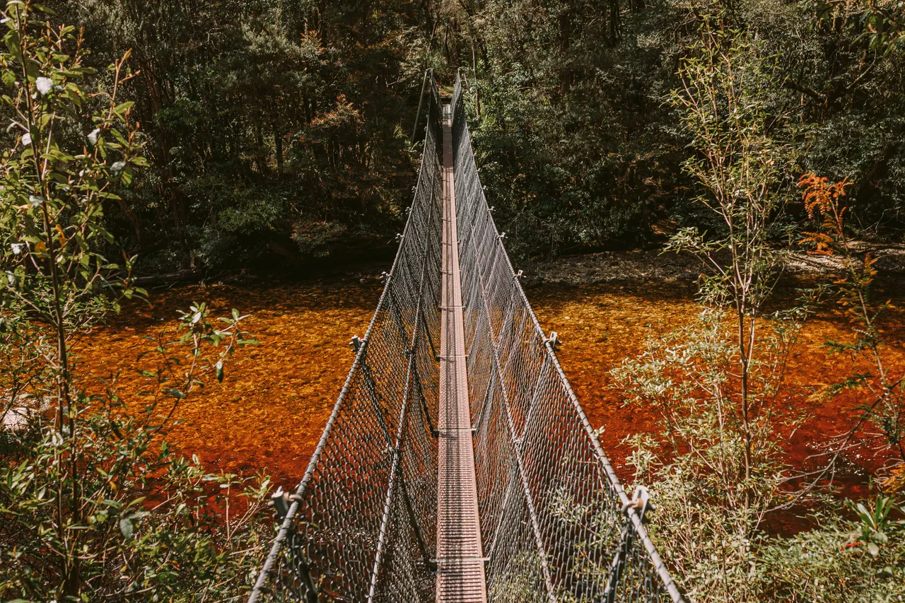 Frenchmans Cap Suspension Bridge