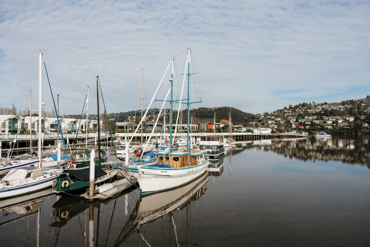 Overlooking River Tamar