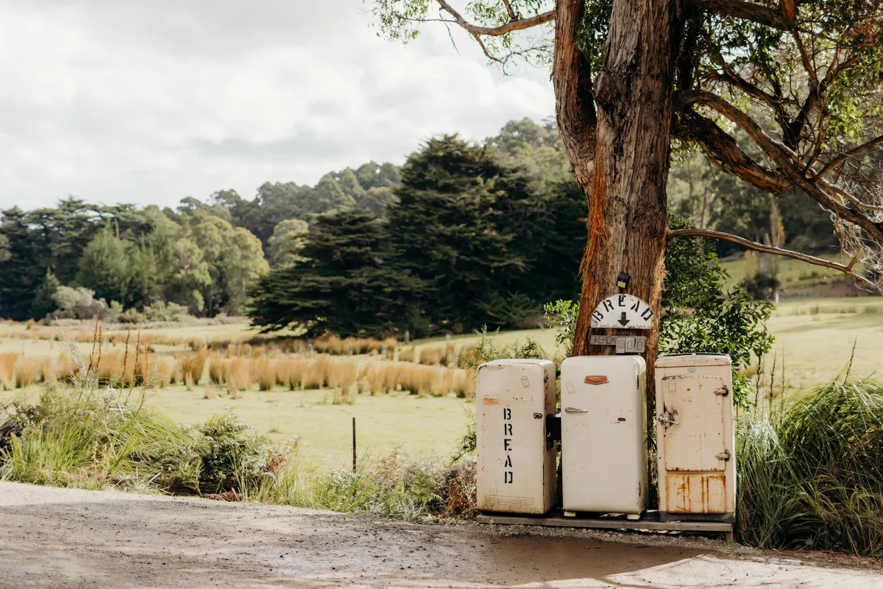 Bread Fridge Bruny Island
