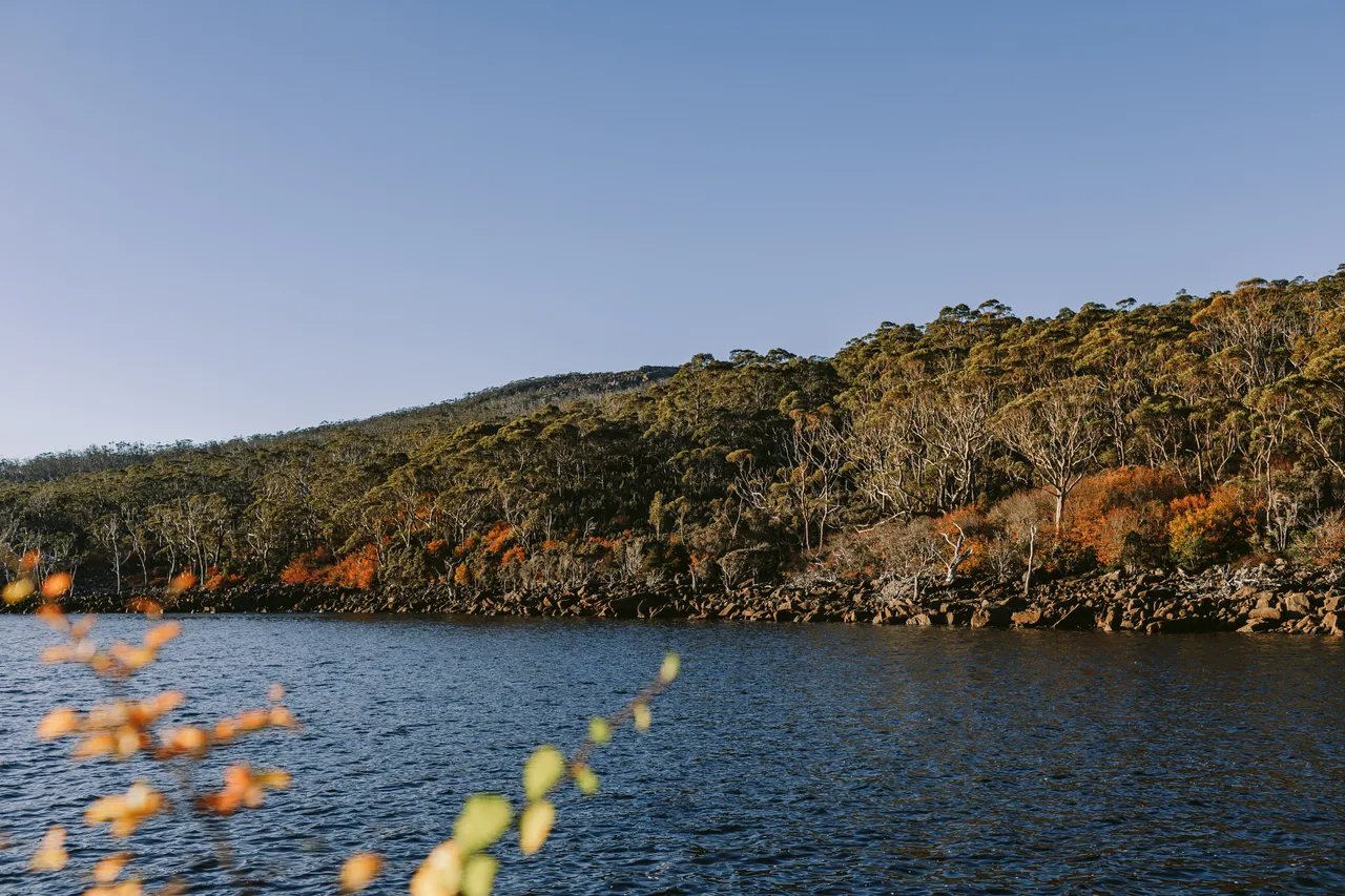 Mount Field National Park 
