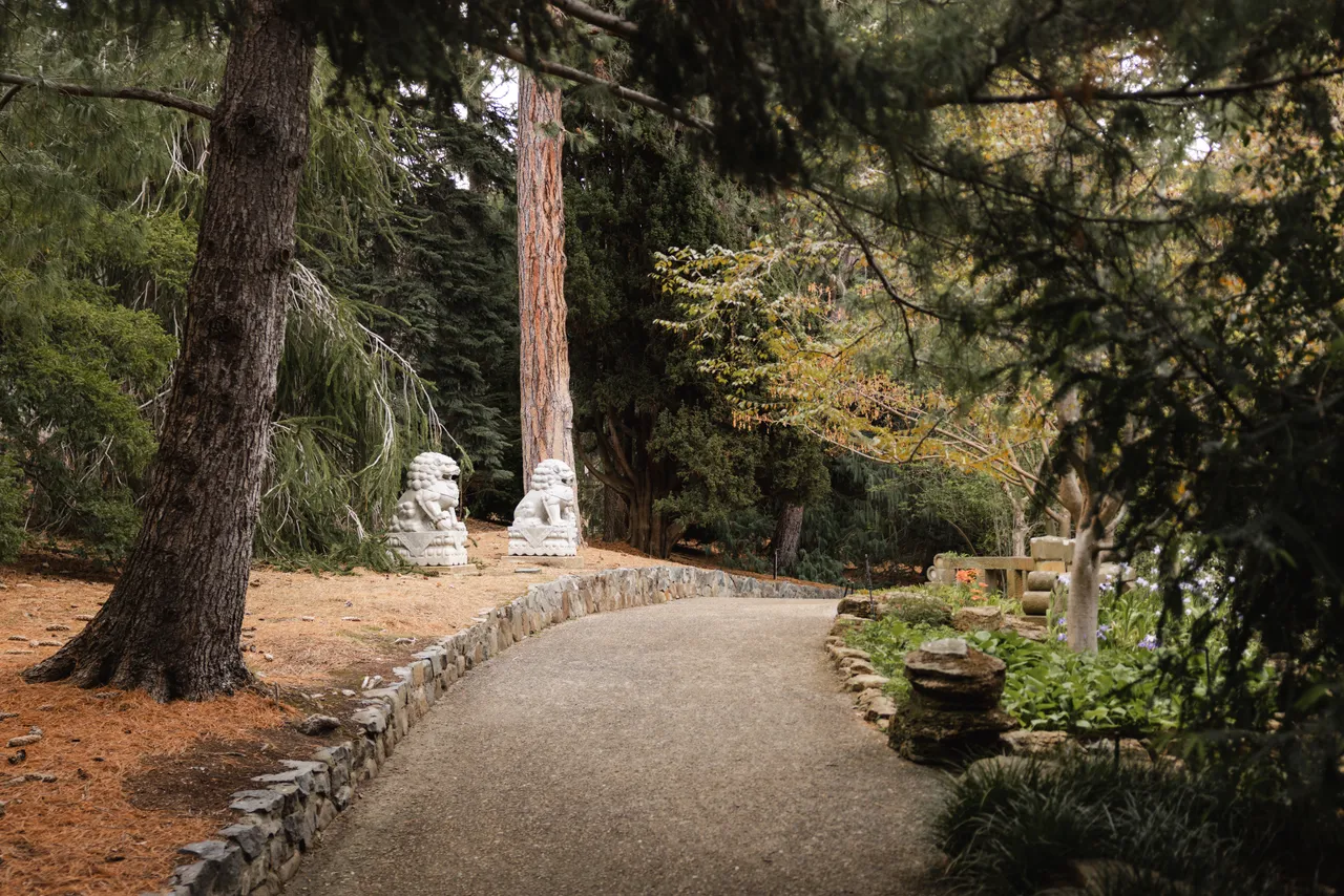 Royal Tasmanian Botanical Gardens