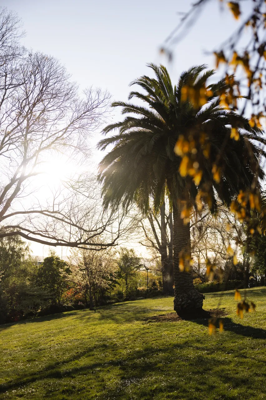 Princes Park in Battery Point