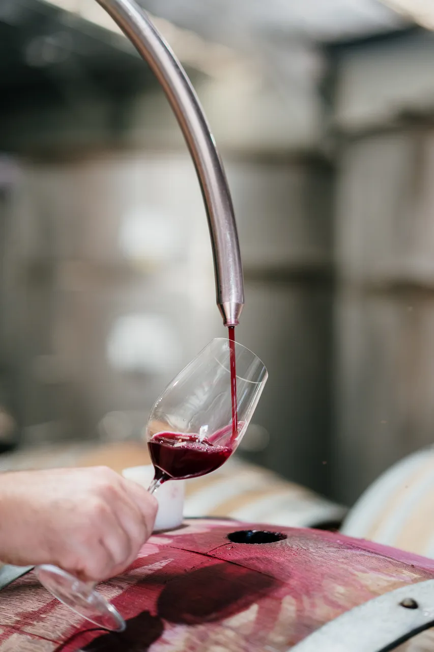 Winemaker at Evenfall Winery