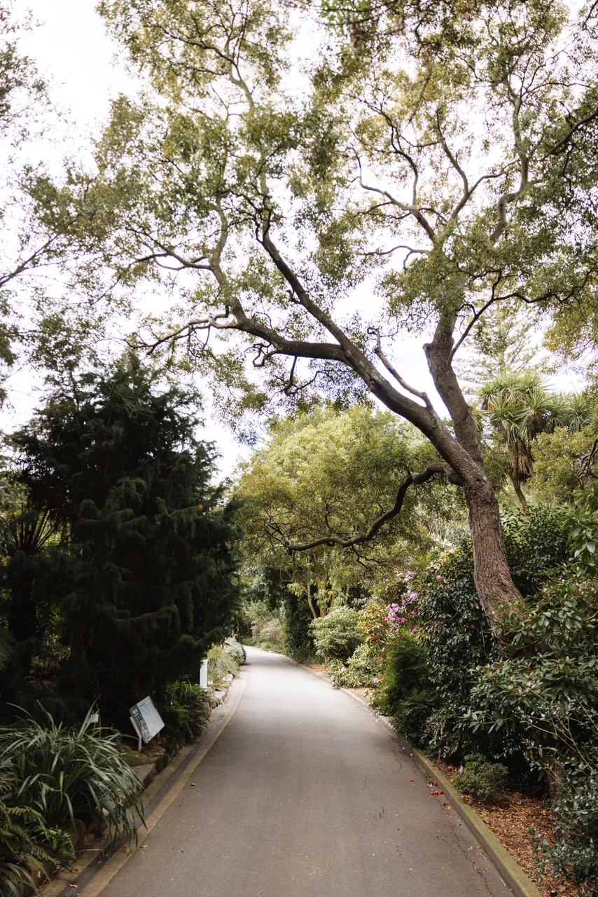 Royal Tasmanian Botanical Gardens