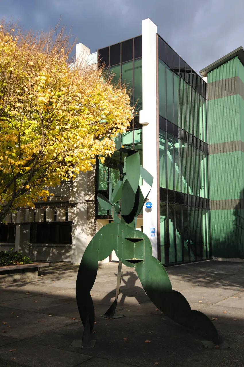 College of Education Hokowhitu