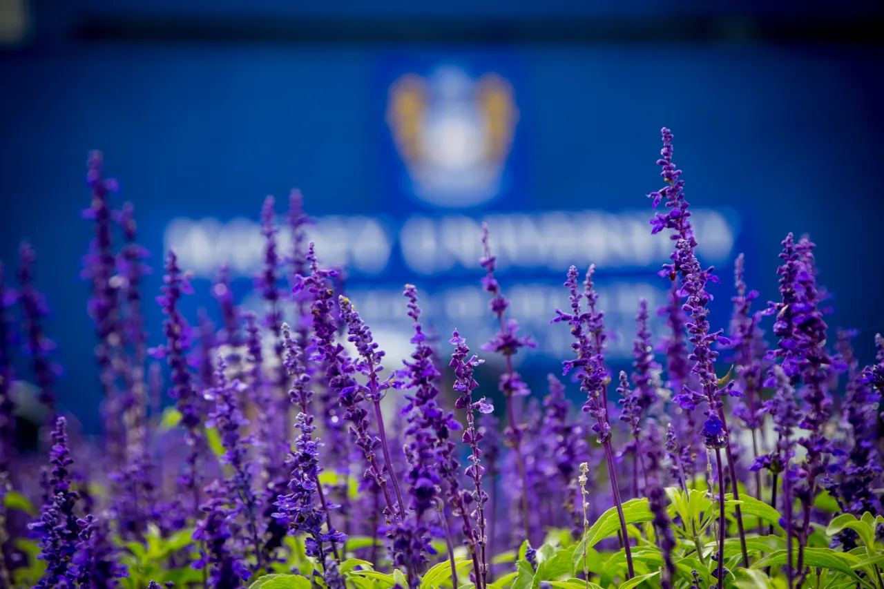 Wellington-campus-2018-028.jpg