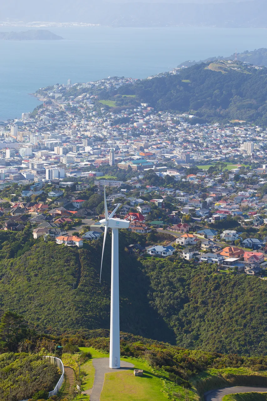 Massey Wellington Campus Aerial