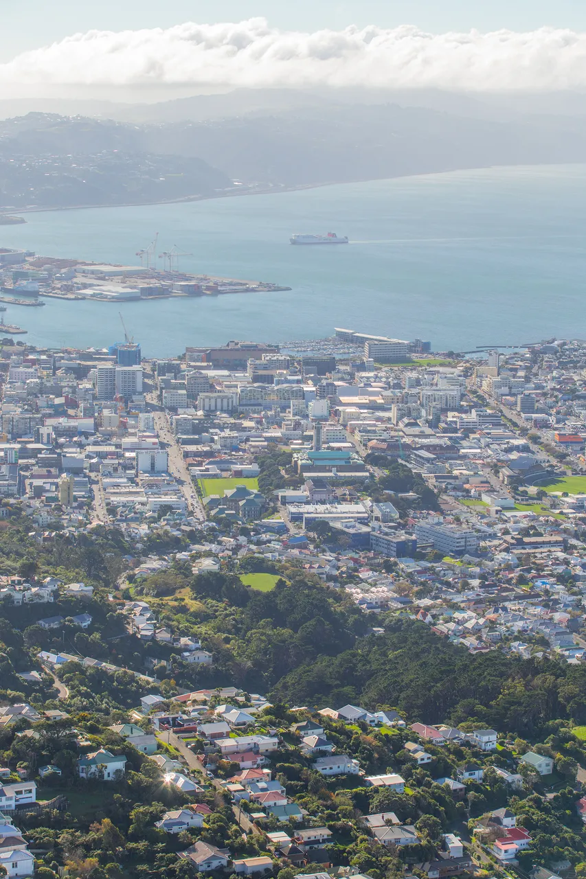 Massey Wellington Campus Aerial