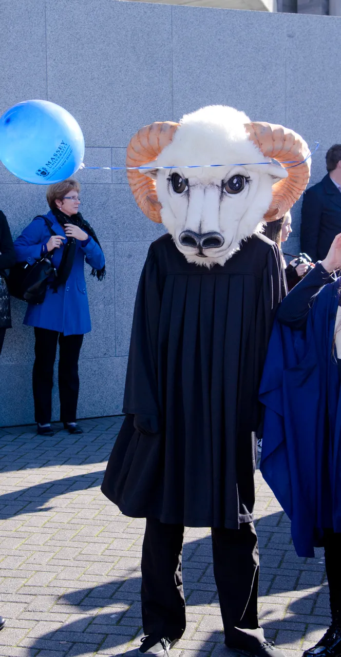 Graduation Parade 