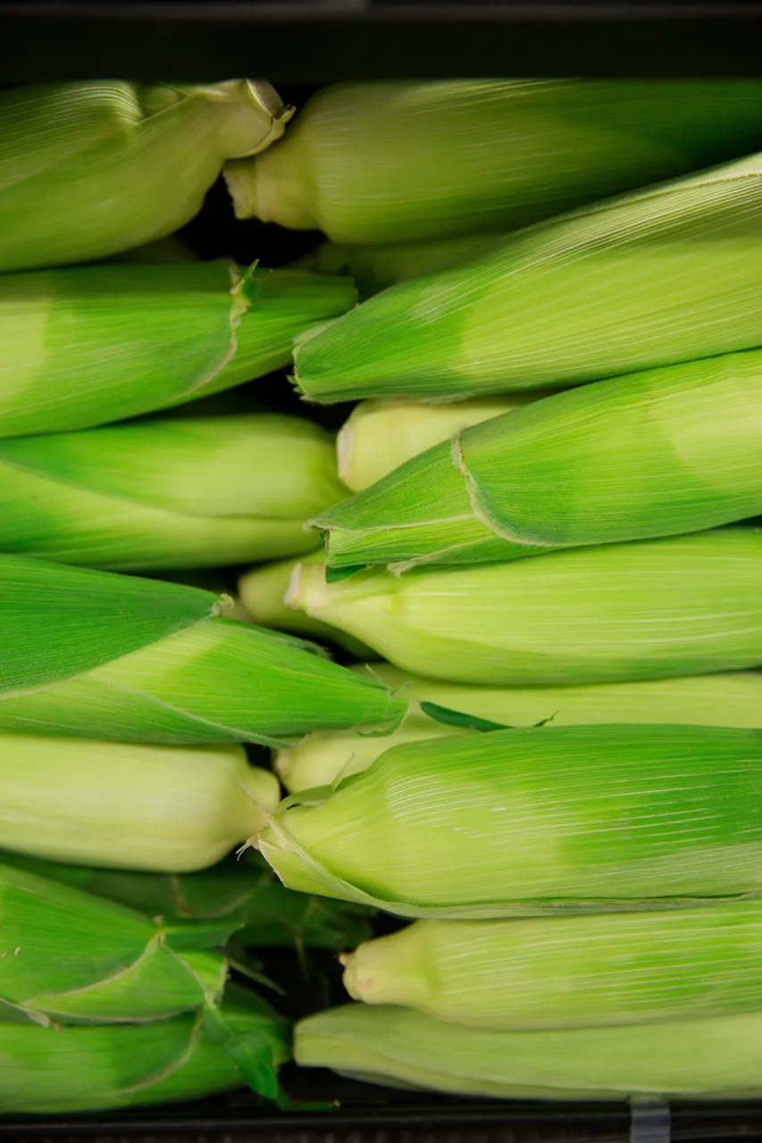 School of Food and Nutrition, Veges and Fruit