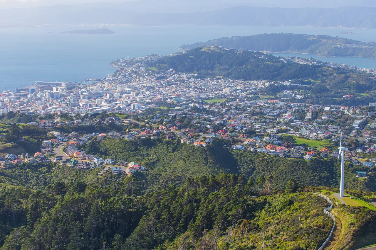 Massey Wellington Campus Aerial