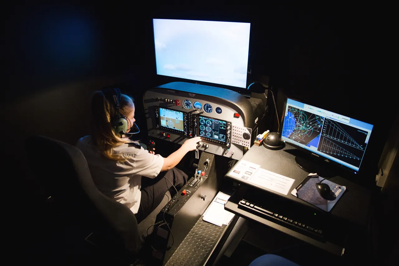 Flight simulator