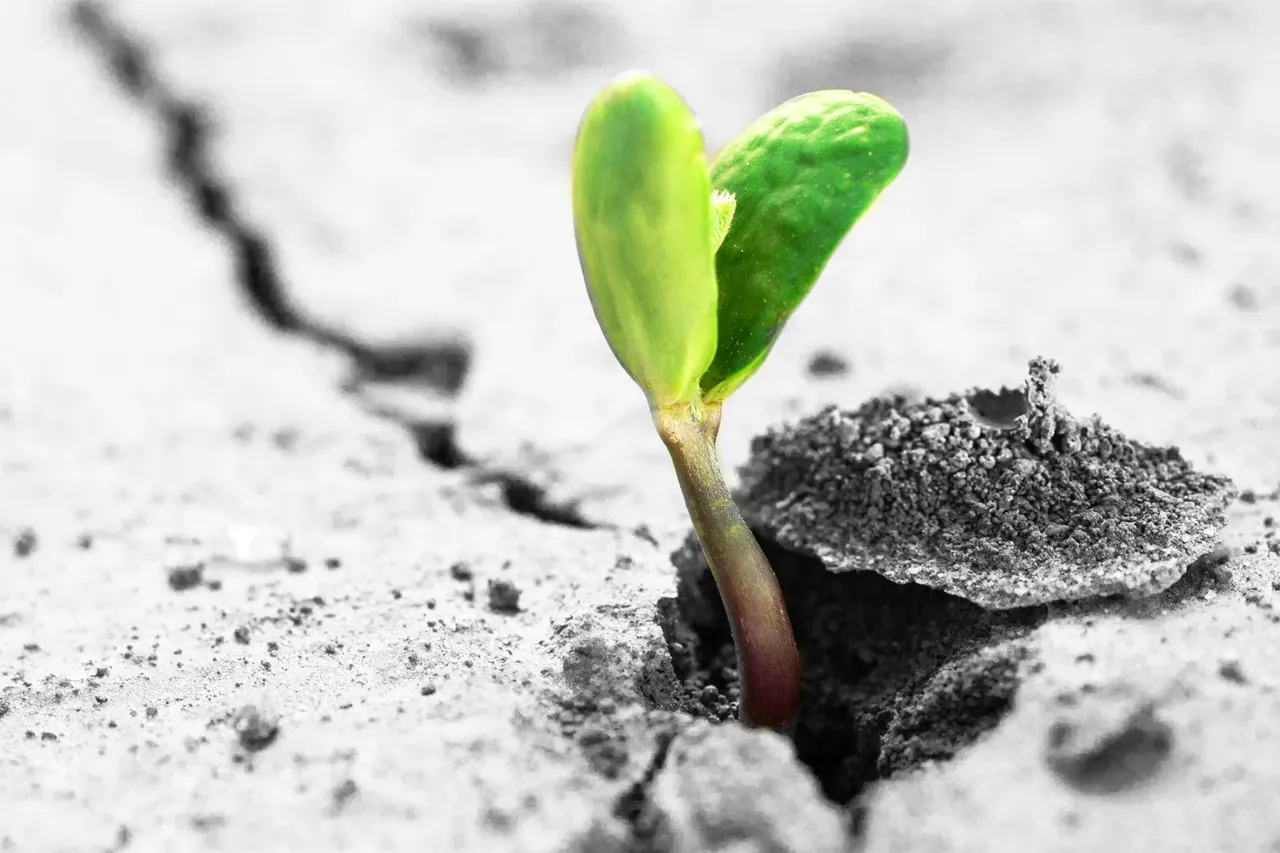Business Solutions publication image - start-up