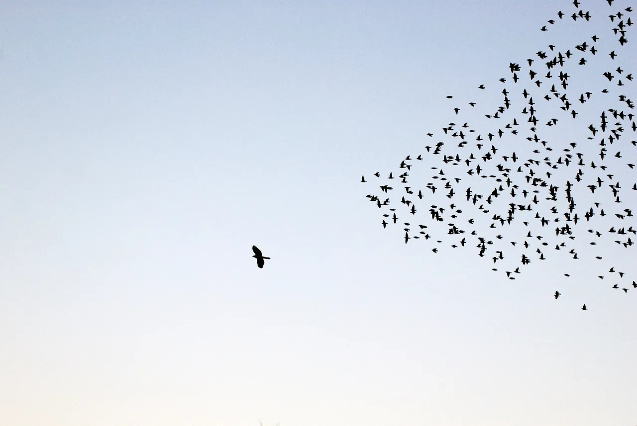 Business Solutions publication image - leadership
