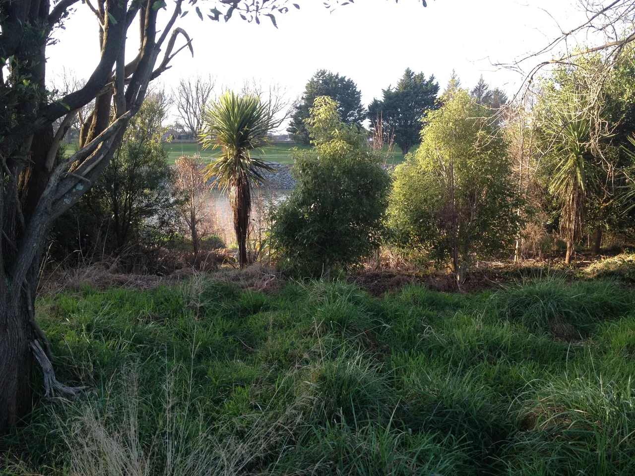 No 1 Dairy Farm
