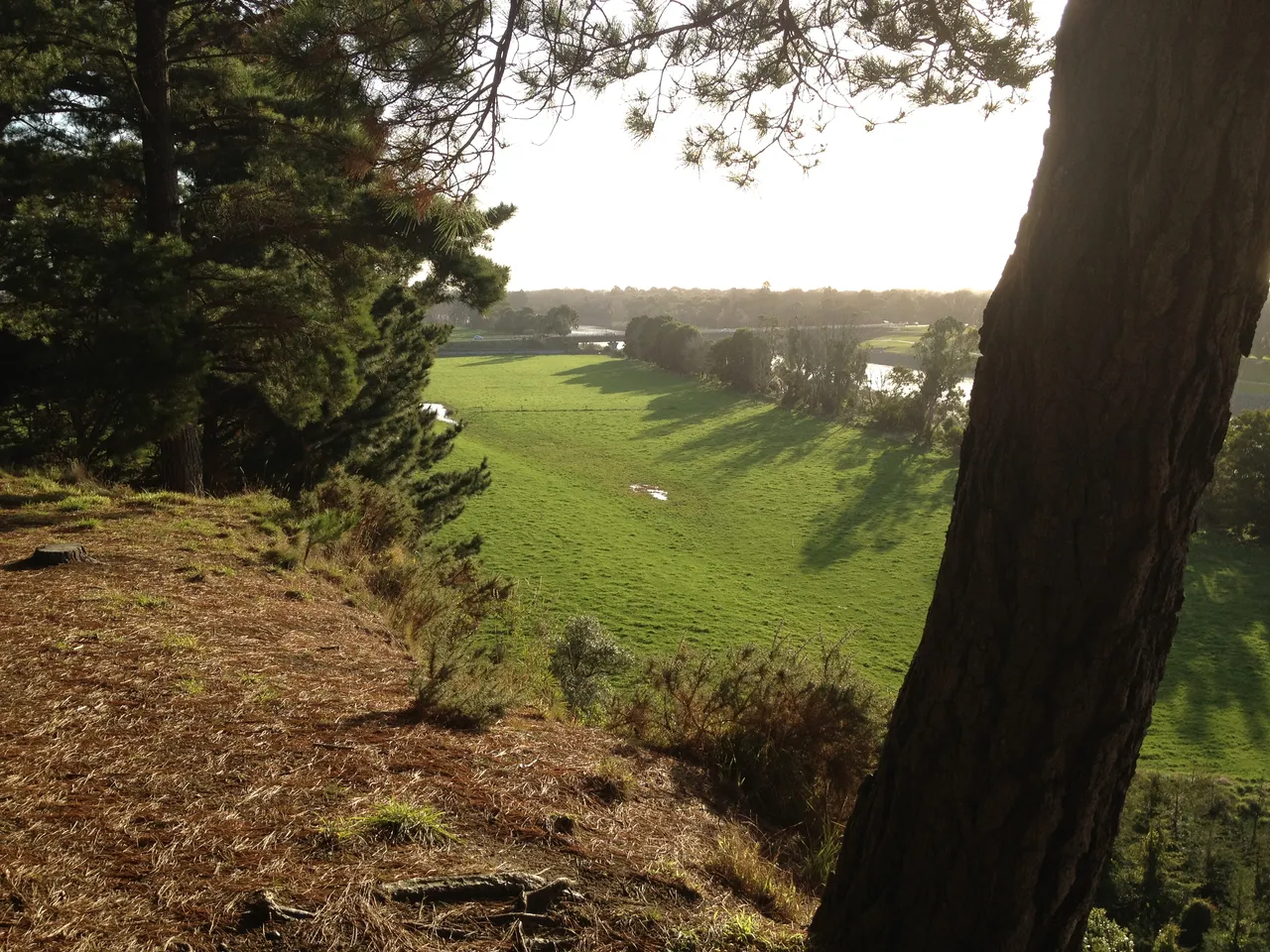 No 1 Dairy Farm